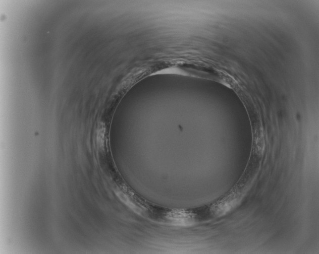 X0000085250231200703231658