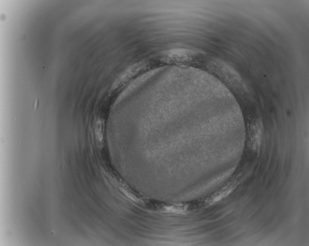 X0000085250232200703231658