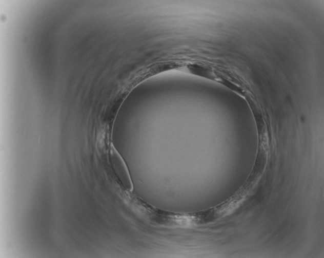 X0000085250233200703231658