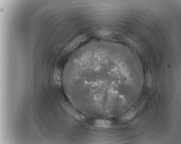 X0000085250234200703231658