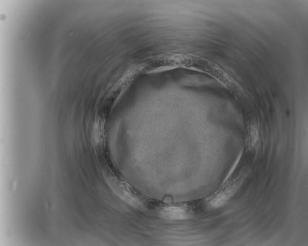 X0000085250236200703231658