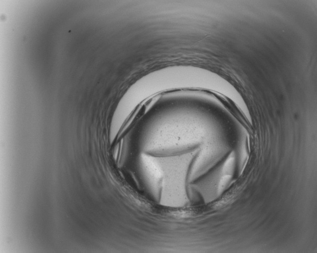 X0000085250237200703231658