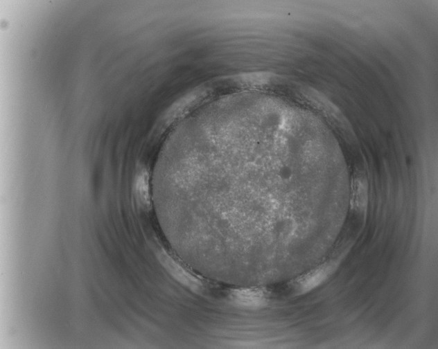 X0000085250238200703231658