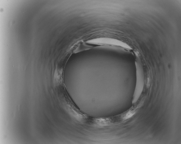 X0000085250239200703231658