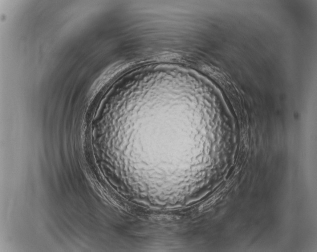 X0000085250242200703231657