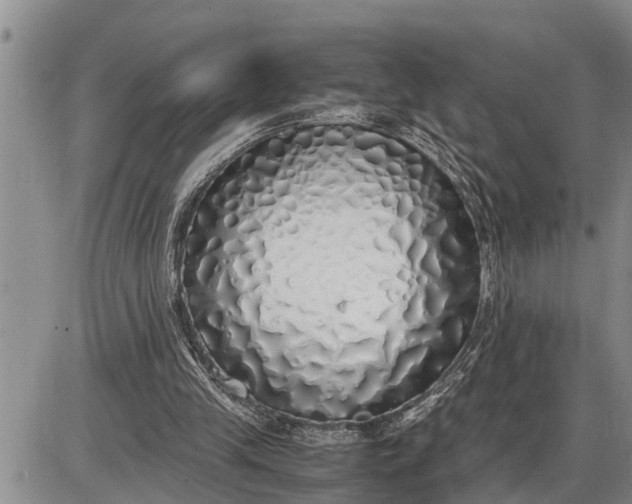 X0000085250245200703231657