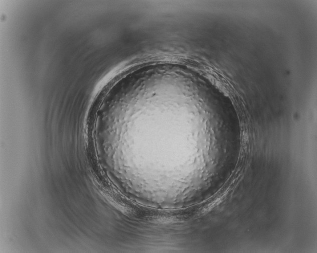 X0000085250246200703231657