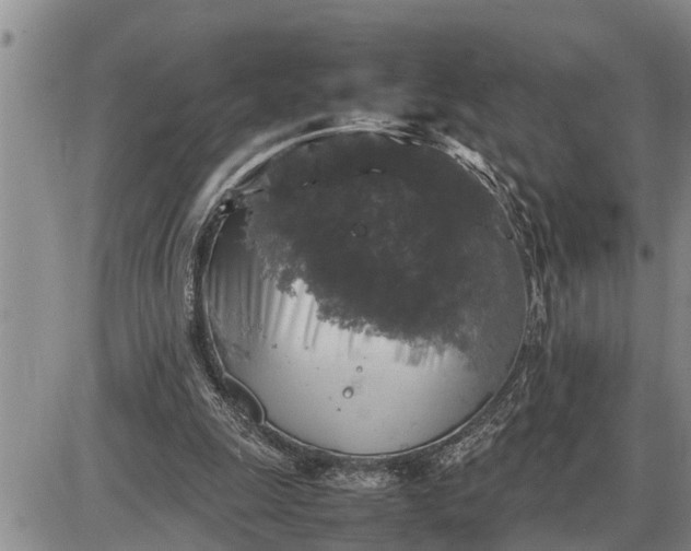 X0000085250247200703231657