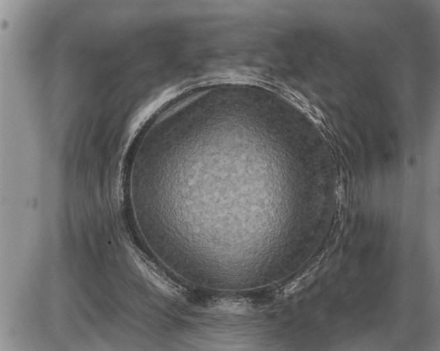 X0000085250248200703231657