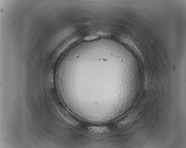 X0000085250251200703231657