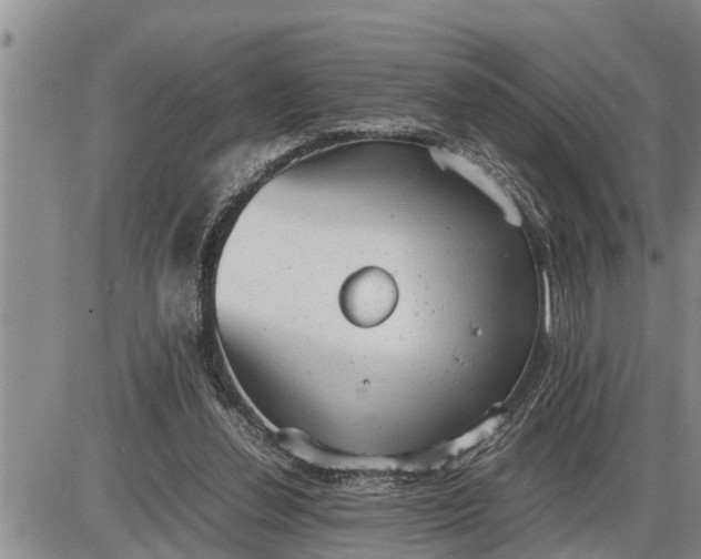 X0000085250252200703231657