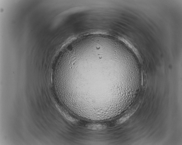 X0000085250253200703231657