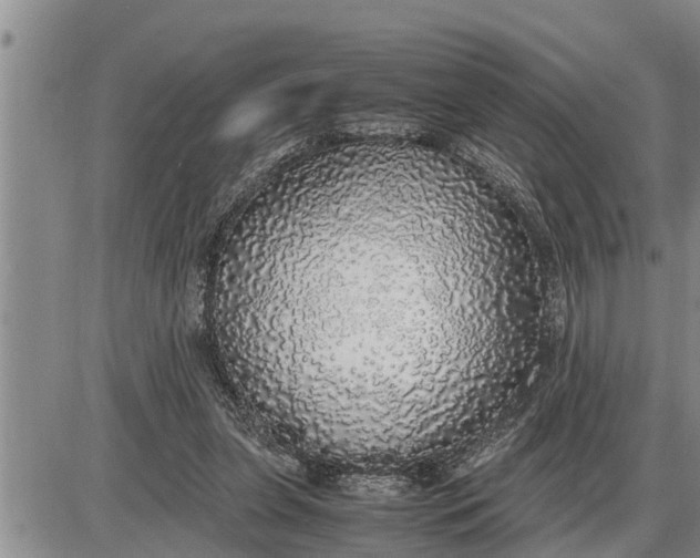 X0000085250255200703231657