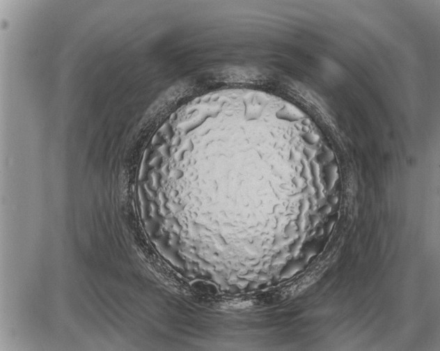 X0000085250257200703231657