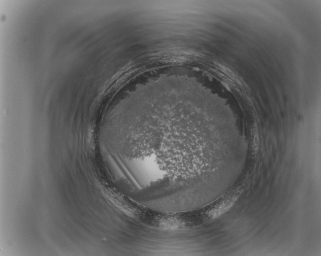 X0000085250258200703231657