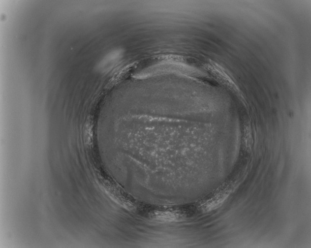 X0000085250259200703231657