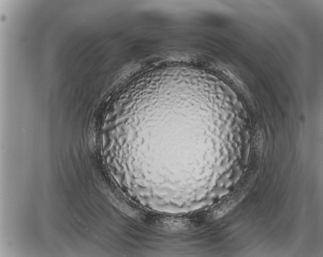 X0000085250261200703231657