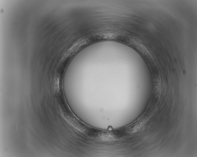 X0000085250262200703231657