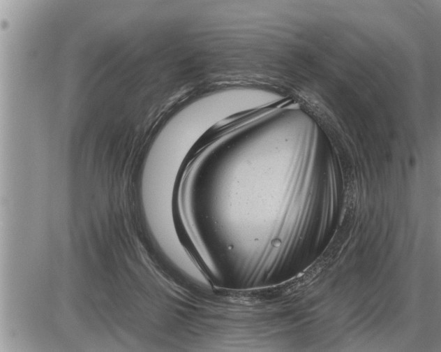 X0000085250264200703231657