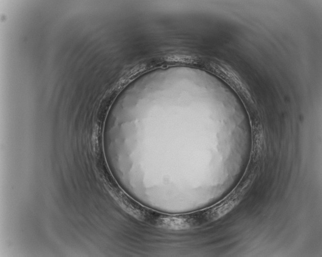 X0000085250265200703231657