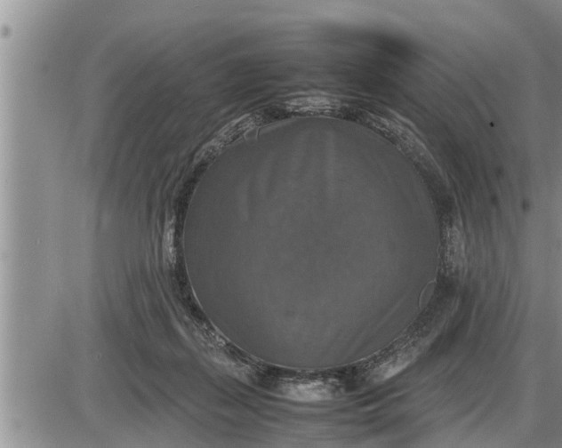 X0000085250267200703231657