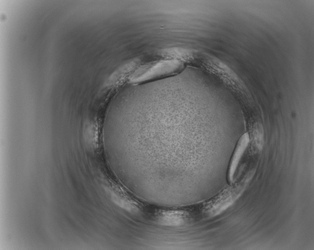 X0000085250268200703231657