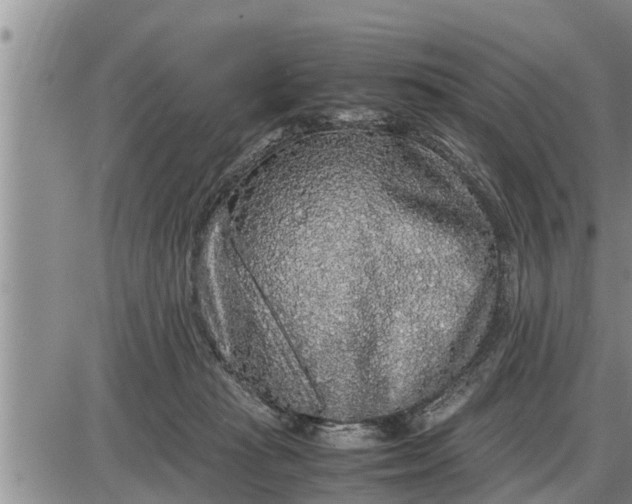 X0000085250269200703231657