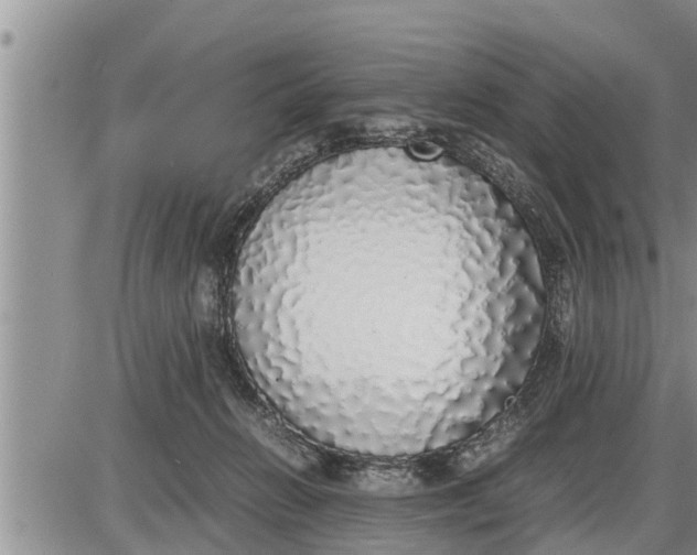 X0000085250270200703231657