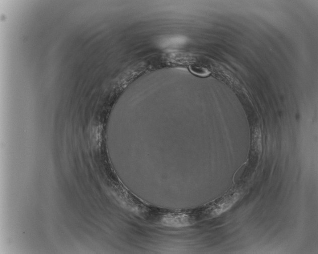 X0000085250271200703231657