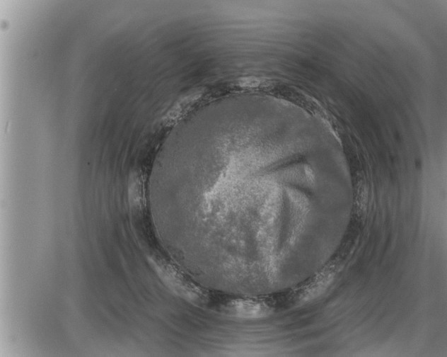 X0000085250272200703231657