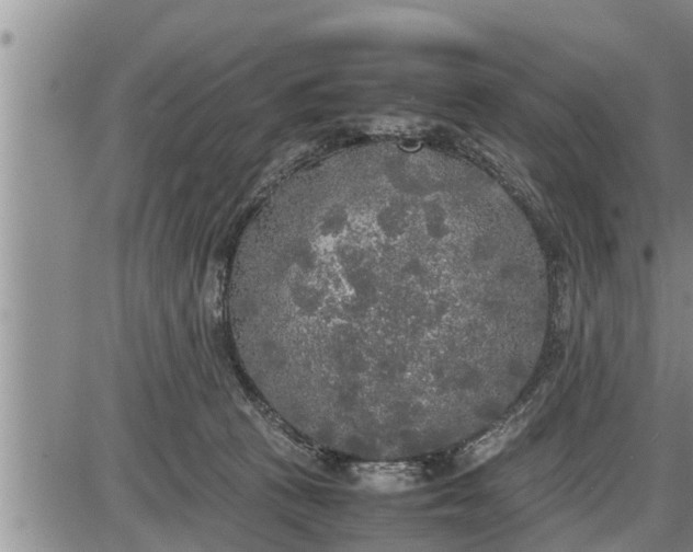 X0000085250273200703231657