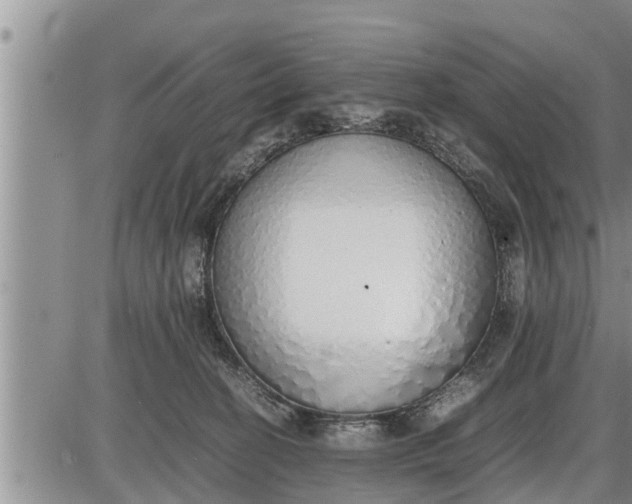 X0000085250274200703231657