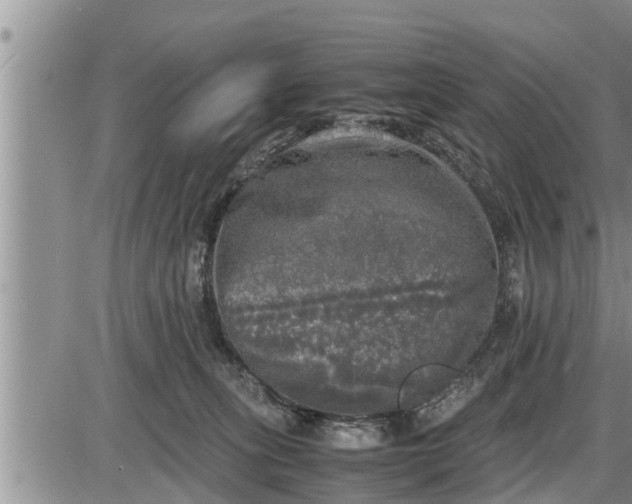 X0000085250275200703231657