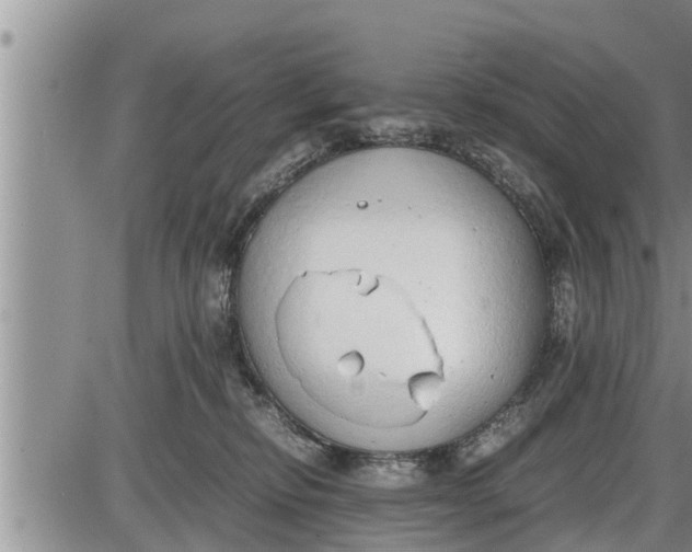 X0000085250278200703231657