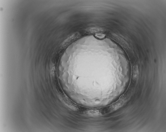 X0000085250279200703231657