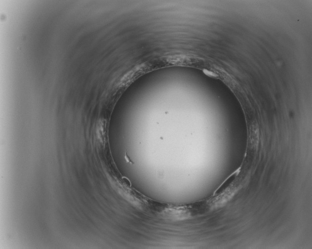 X0000085250280200703231657