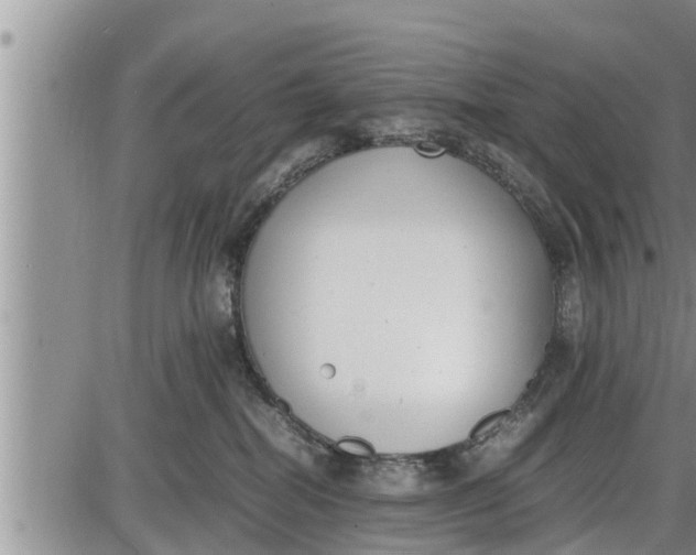 X0000085250282200703231657