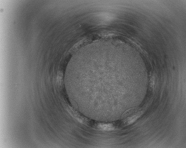 X0000085250283200703231657