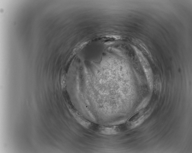 X0000085250285200703231657