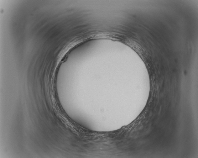 X0000085250289200703231657