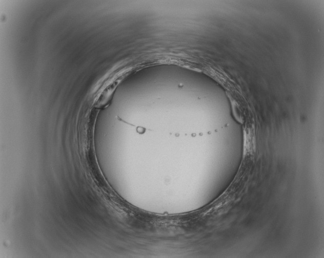 X0000085250291200703231657