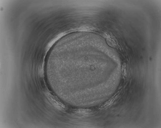 X0000085250292200703231657