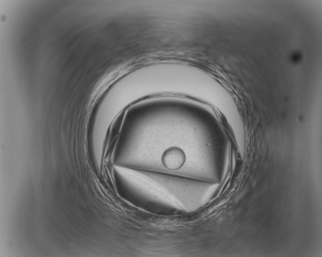 X0000085250293200703231657