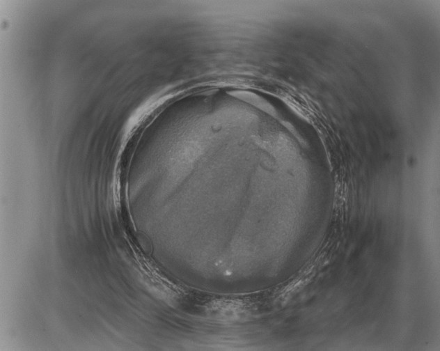 X0000085250294200703231657