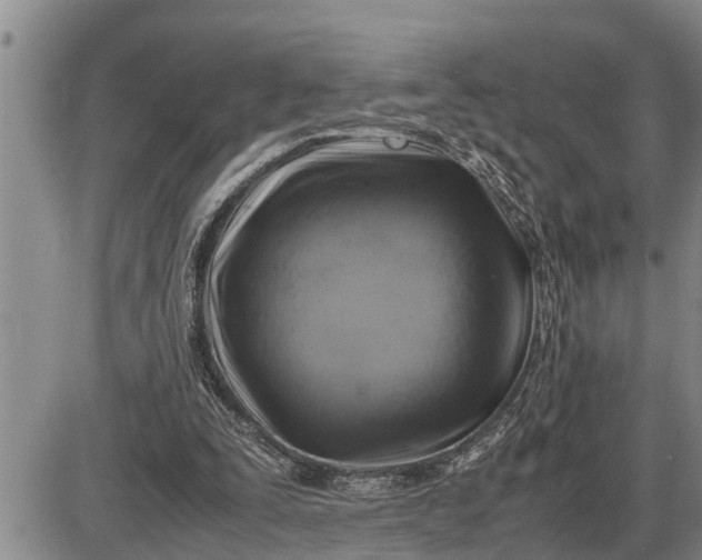 X0000085250295200703231657