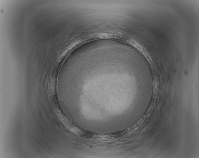 X0000085250297200703231657