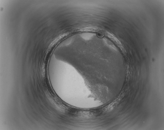 X0000085250298200703231657