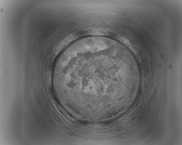 X0000085250299200703231657