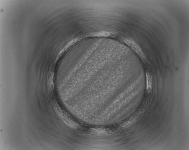 X0000085250300200703231657