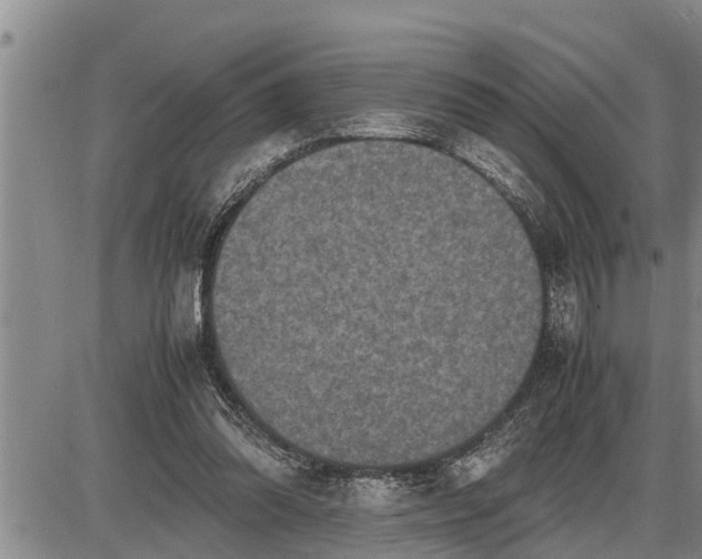 X0000085250302200703231657